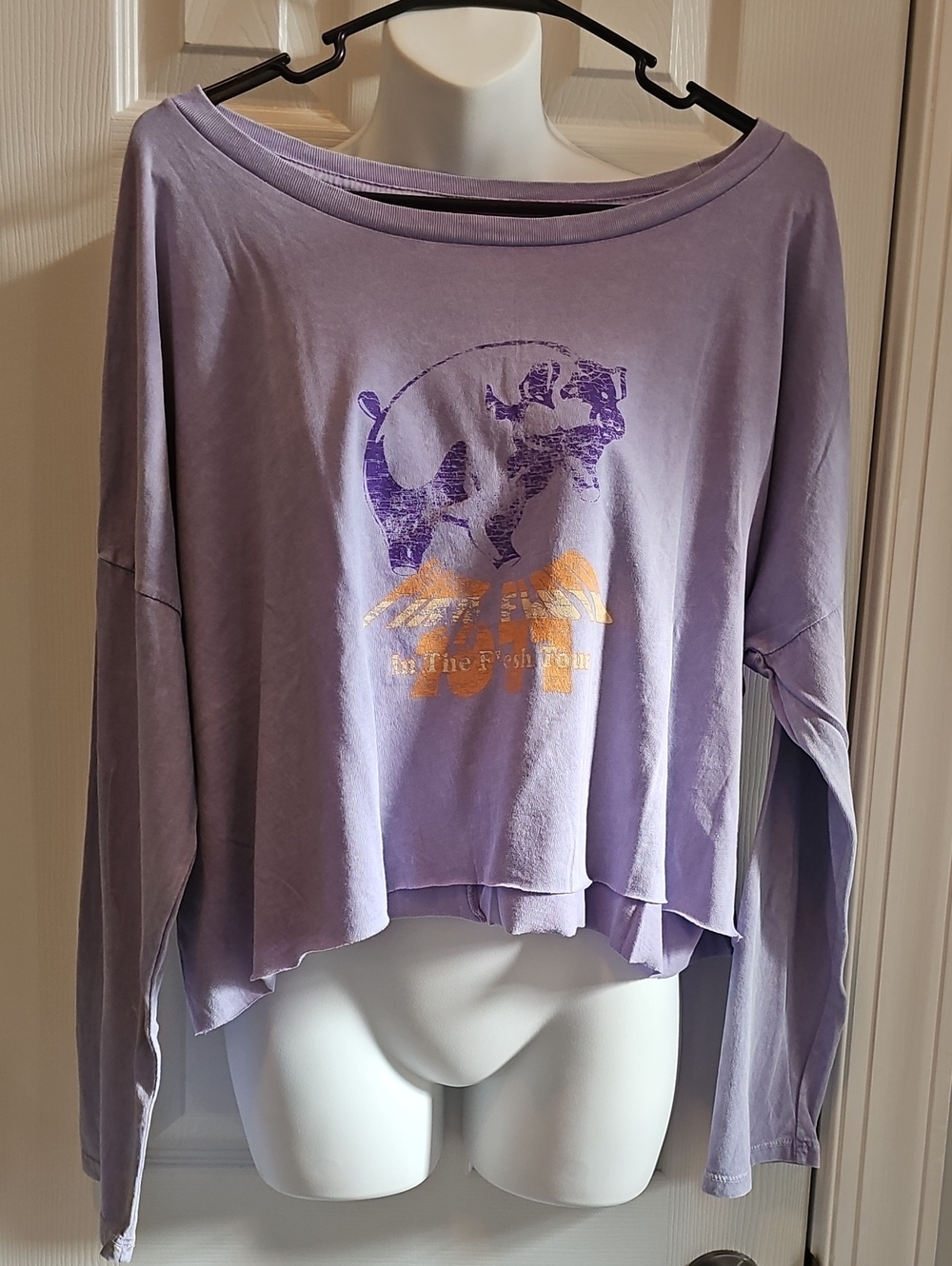 Promesa Pink Floyd License Graphic Cropped Long-Sleeve Top